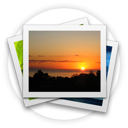 Gallery Icon